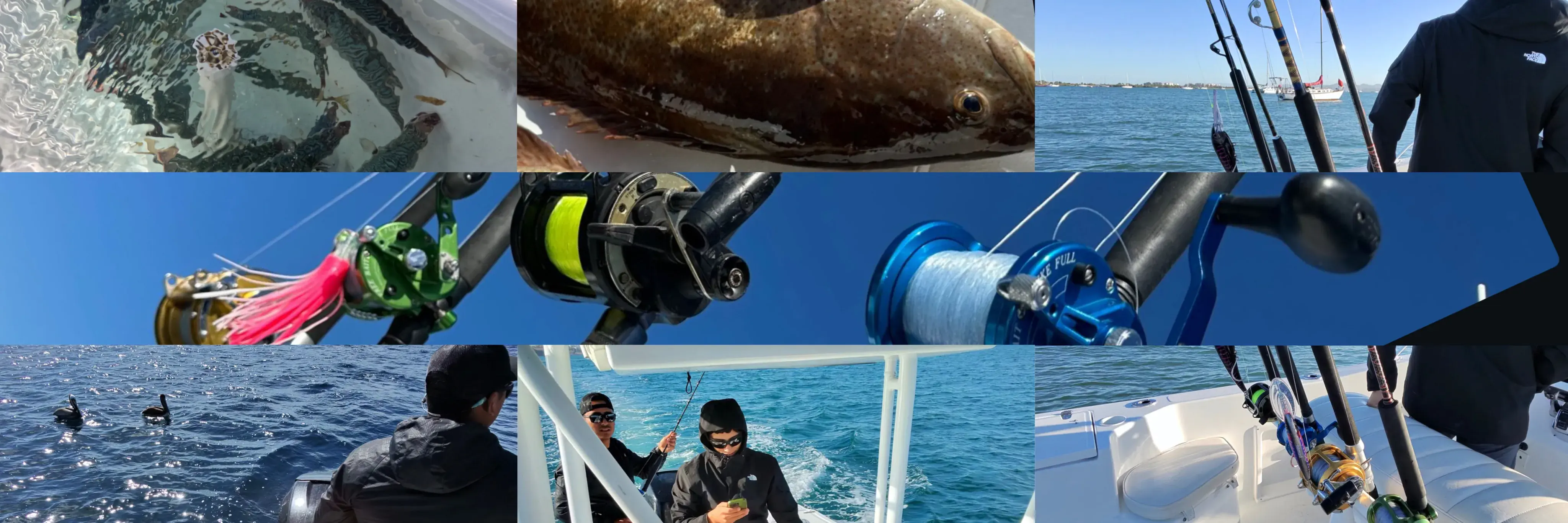 Pesca Deportiva