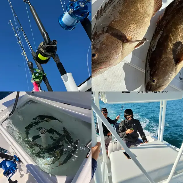Pesca Deportiva en La Paz